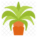 Date Palm Ramadan Palm Tree Icon