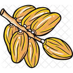 Date palm  Icon