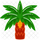 Date palm tree  Icon