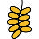Date Plam Fruit Healthy Icon
