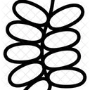 Date Plam Fruit Healthy Icon