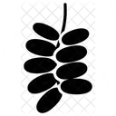 Date Plam Fruit Healthy Icon