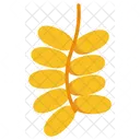 Date Plam Fruit Healthy Icon