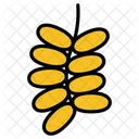 Date Plam Fruit Healthy Icon