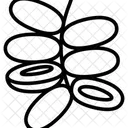 Date Plam Fruit Healthy Icon