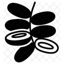 Date Plam Fruit Healthy Icon