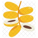Date Plam Fruit Healthy Icon