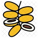 Date Plam Fruit Healthy Icon