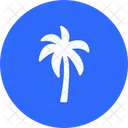 Date Tree Palm Tree Arecaceae Icon