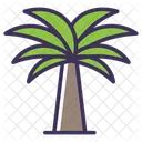 Date tree  Icon