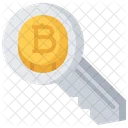 Schlussel Bitcoin Munze Symbol