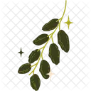 One Stalk Of Dates Dates Date Icon