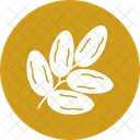 Dates  Icon