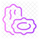 Dates  Icon