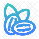 Dates  Icon