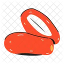 Dried Dates Dates Dried Fruit Icon