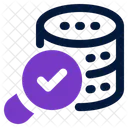 Buscar Datos Encontrar Consultar Icon
