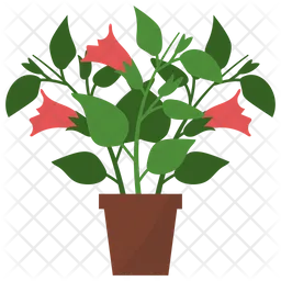 Datura Potted Plant  Icon