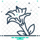 Datura Stramonium Jimsonweed Nightshade Icon