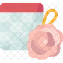 Day  Icon