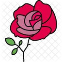 Day Flower Love Icon