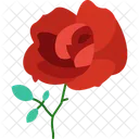 Day Flower Love Icon