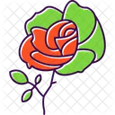 Day Flower Love Icon