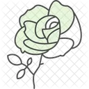 Day Flower Love Icon