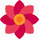 Day Flower Gift Icon