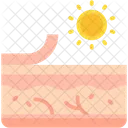 Day Light Dermatology Icon