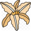 Daylily Flower Blossom Icon