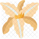 Daylily  Icon