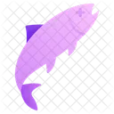 Dead Fish  Icon