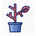 Dead Plant Icon