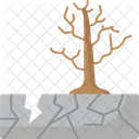 Dead Tree Dry Tree Withered Tree Icon