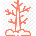 Dead Tree Tree Dry Tree Icon