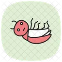 Death Insect Watch Icon