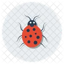 Debug  Icon