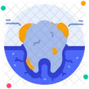 Decay Caries Cavity Icon