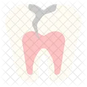 Decayed Tooth  Icon