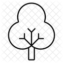 Deciduous  Icon