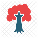 Deciduous Tree  Icon