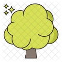 Deciduous Tree  Icon