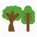 Deciduous Tree  Icon