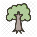 Deciduous tree  Icon