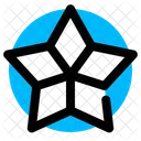 Estrella de decoracion  Icon