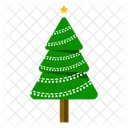 Christmas Tree Evergreen Tree Conifer Icon