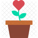 Background Nature Plant Icon