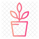 Decoration  Icon