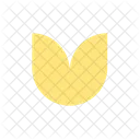 Shape Design Art Icon
